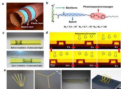 驭“水”有术:我国研发出全新概念的光控微流体新技术_中国聚合物网科教新闻